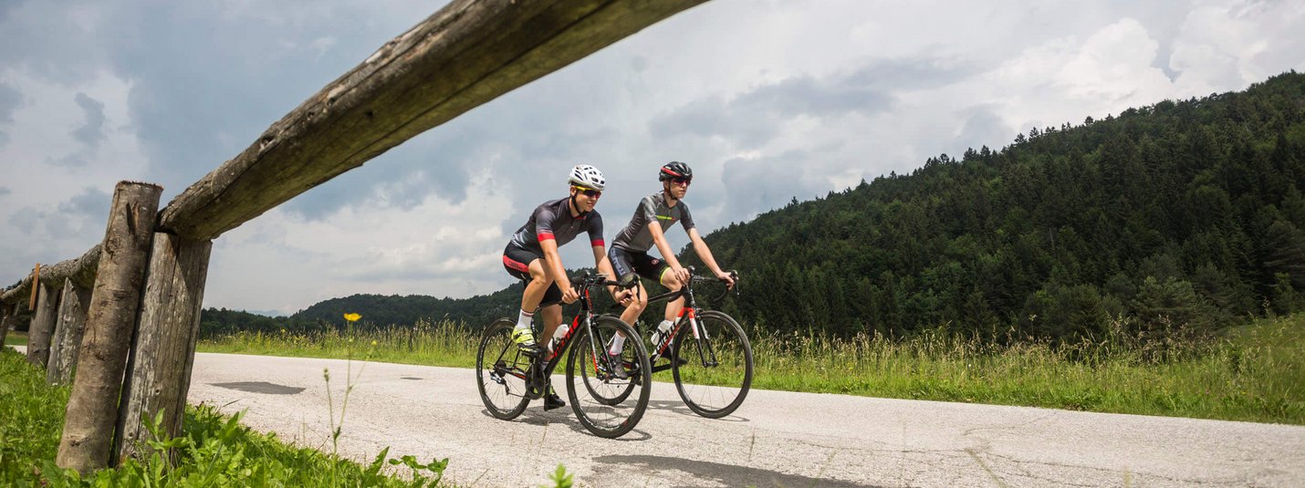 Zwei Radfahrer fahren auf einer Landstraße durch eine grüne Landschaft.