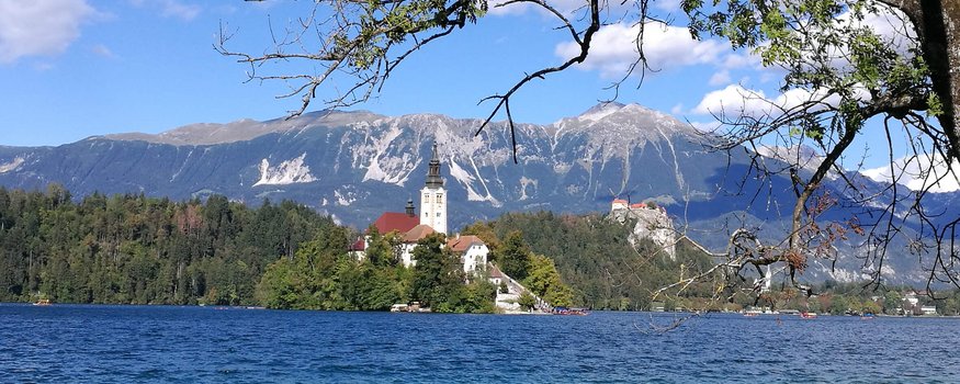 Hotel & Glamping Ribno Alpine Resort **** © Epidos doo Kerk op eiland in meer met bergen op achtergrond