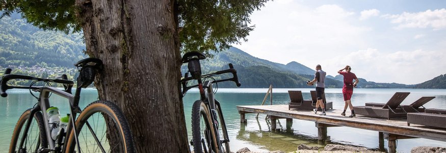 Due biciclette appoggiate a un albero vicino a un lago con un molo e due persone