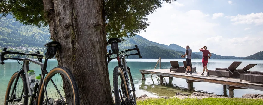 Due biciclette appoggiate a un albero vicino a un lago con un molo e due persone