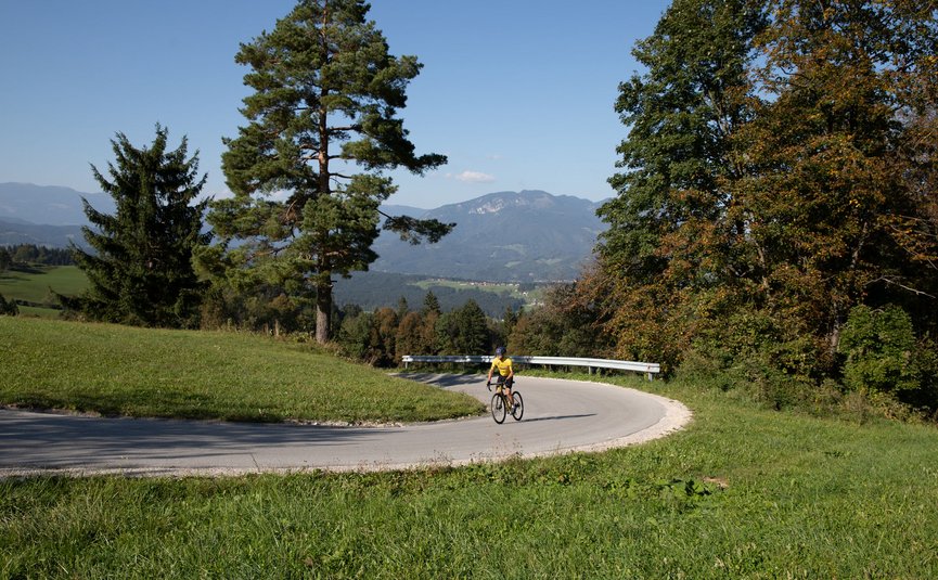 Ciclista con maglia gialla su strada di montagna curva con alberi e montagne sullo sfondo