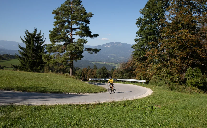 Radfahrer in gelbem Trikot auf kurviger Bergstraße mit Bäumen und Bergen im Hintergrund
