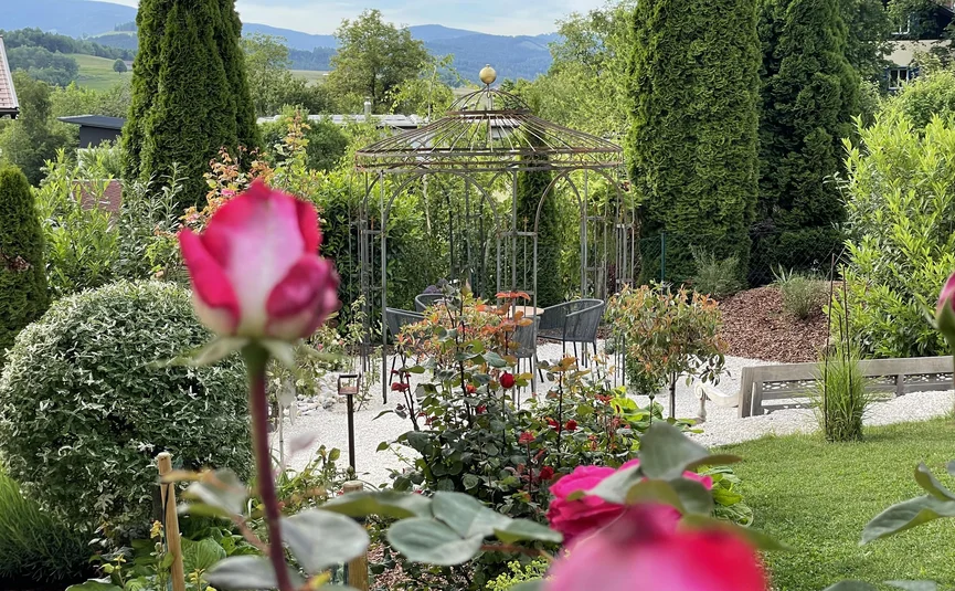 Garden with roses, metal gazebo, and green landscape in the background