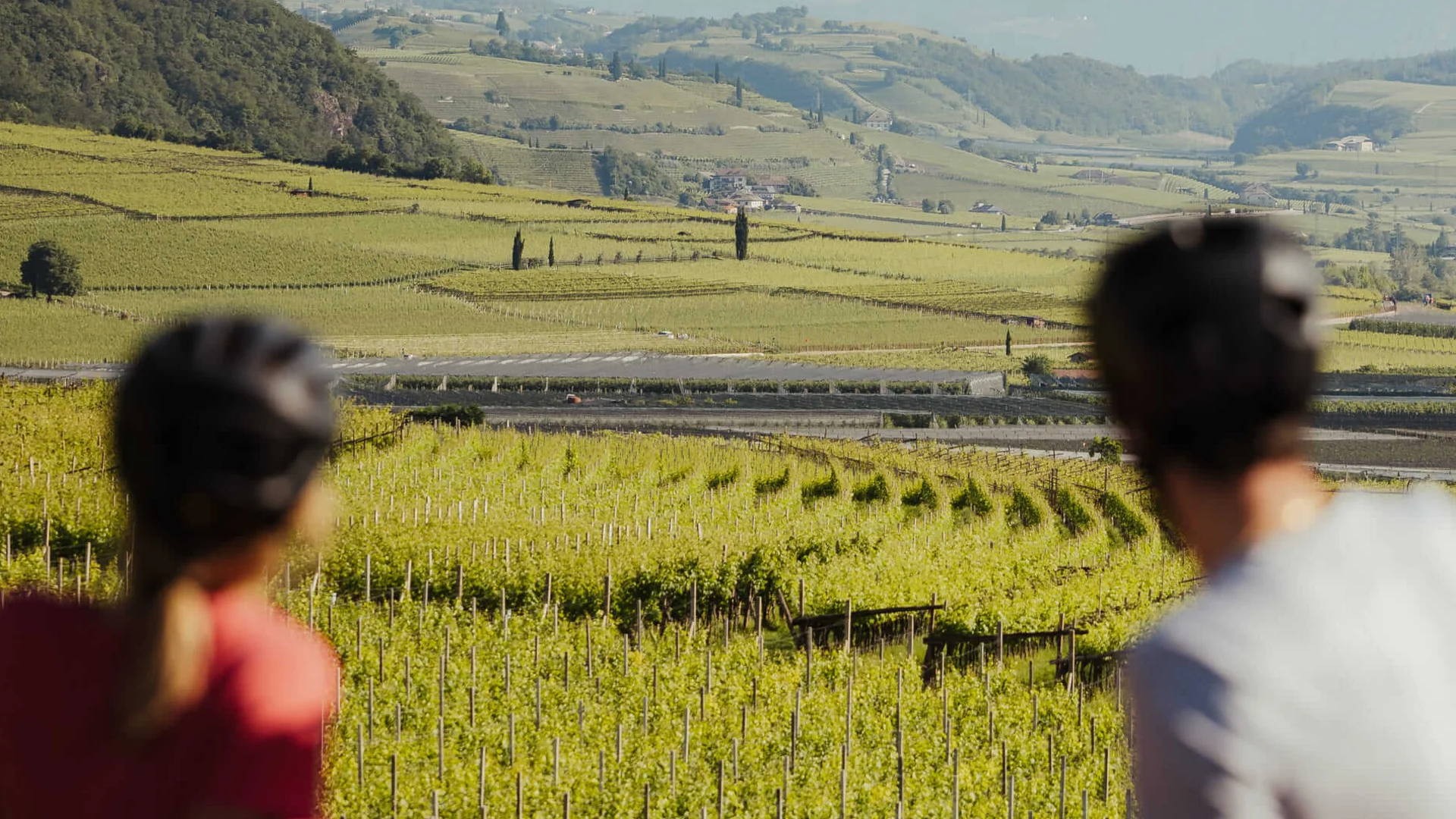 Golden autumn on the road bike in Tramin Two cyclists overlooking vineyards with mountains in the distance