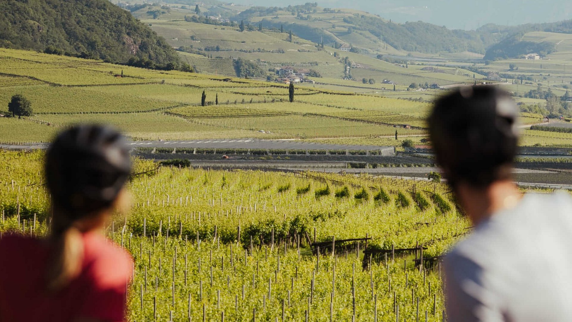 Zwei Radfahrer betrachten Weinberge mit Bergen im Hintergrund