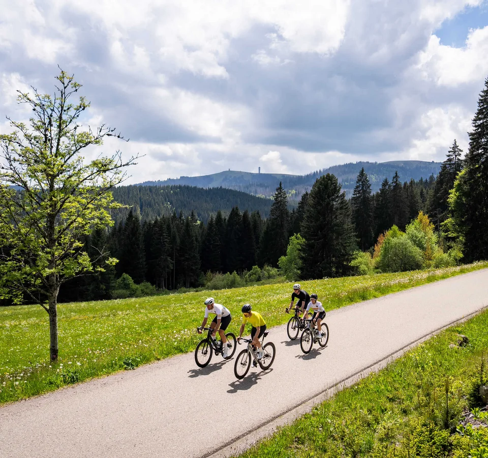 Vier Radfahrer fahren auf einer Straße durch eine grüne Landschaft mit Bergen im Hintergrund