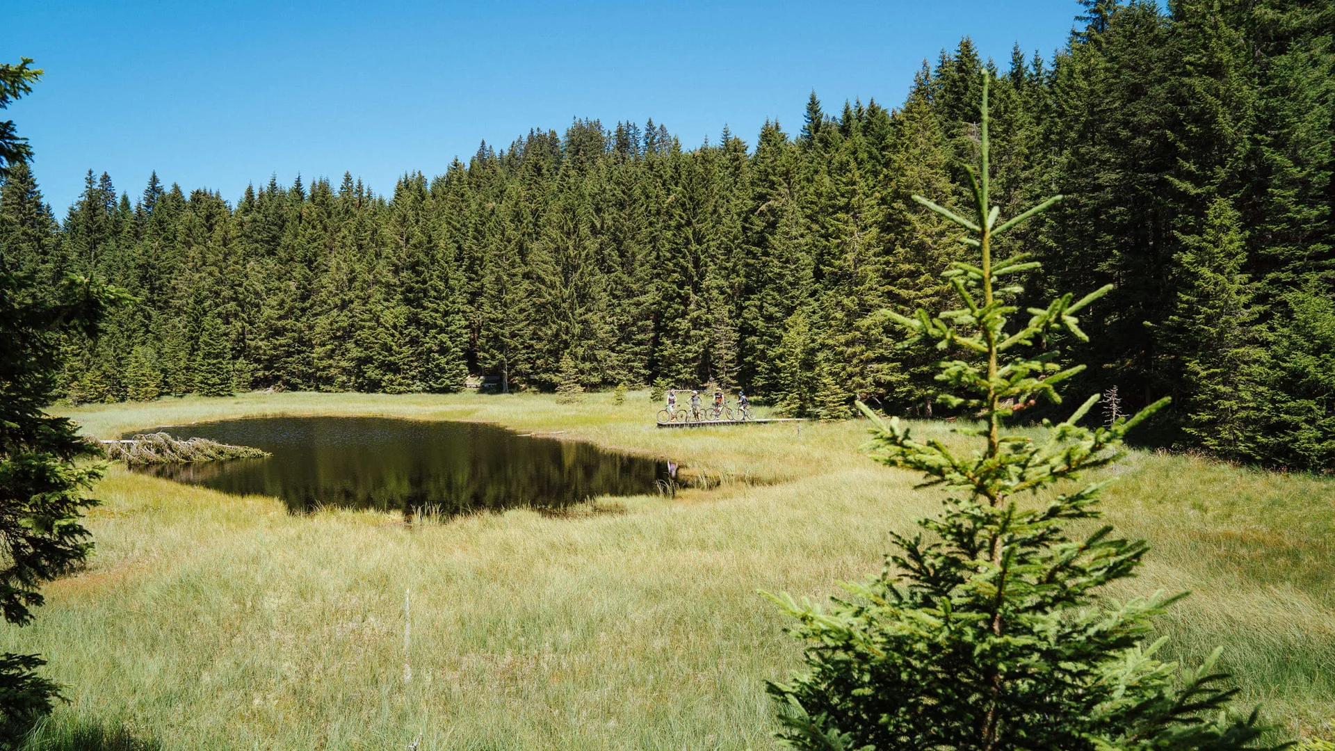 Ein Rennrad-Wochenende in Südtirols Süden © Thomas Monsorno - TV Castelfeder Kleiner Waldsee mit Radfahrern auf Holzsteg im sonnigen Wald