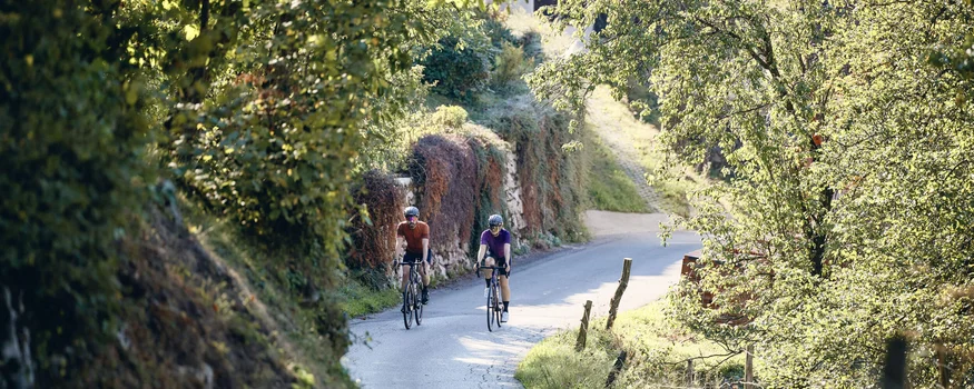 Zwei Radfahrer auf einem sonnigen Landweg mit grünen Bäumen