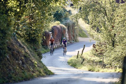Zwei Radfahrer auf einem sonnigen Landweg mit grünen Bäumen