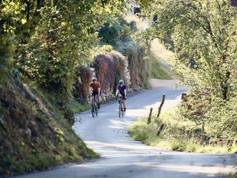 Zwei Radfahrer auf einem sonnigen Landweg mit grünen Bäumen