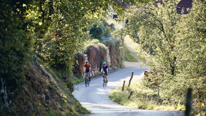 Two cyclists on a sunny country road surrounded by green trees