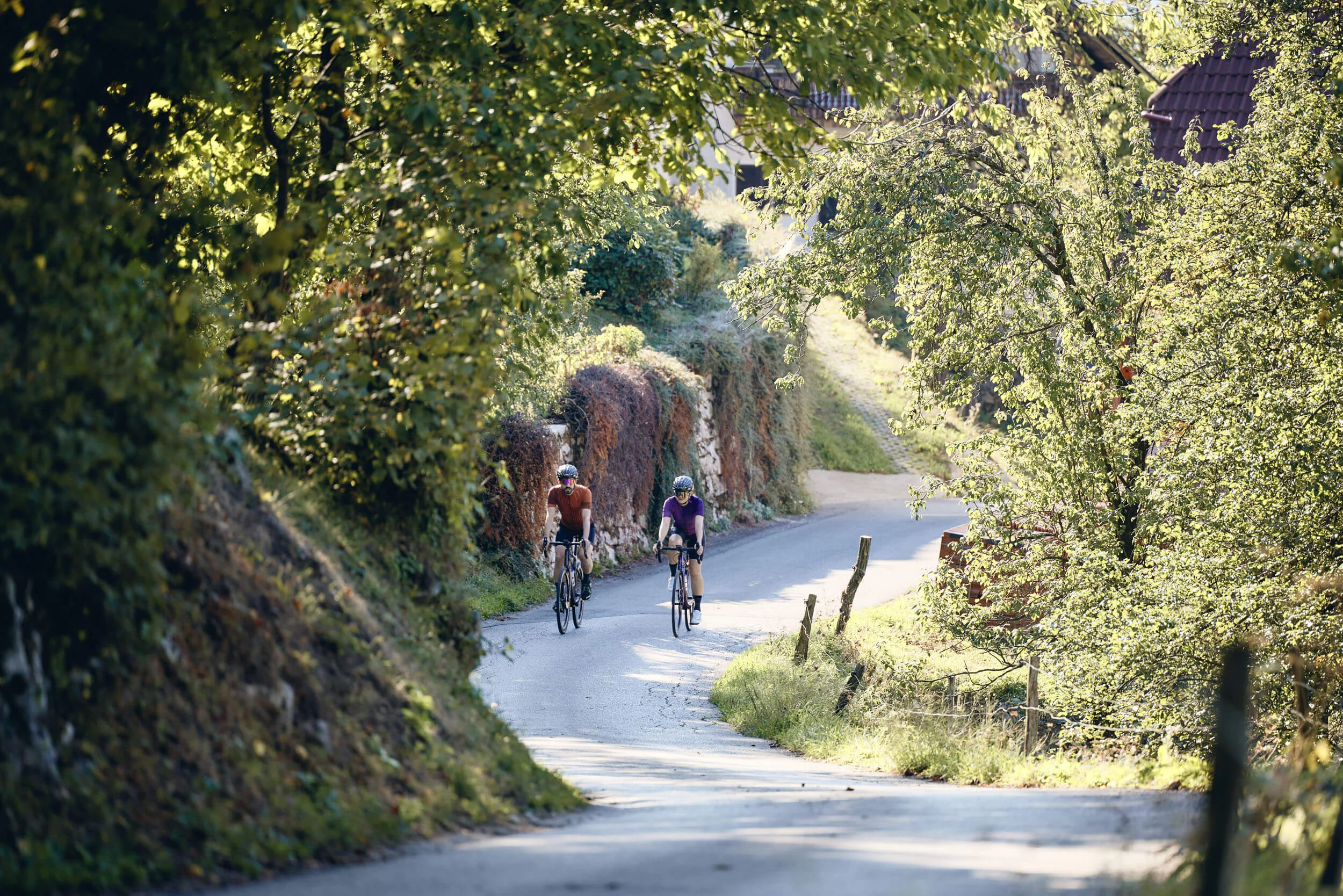Breeze, Pulse oder Peak? 20 neue Traumrouten im Slowenischen Istrien © Tobias Köhler Zwei Radfahrer auf einem sonnigen Landweg mit grünen Bäumen
