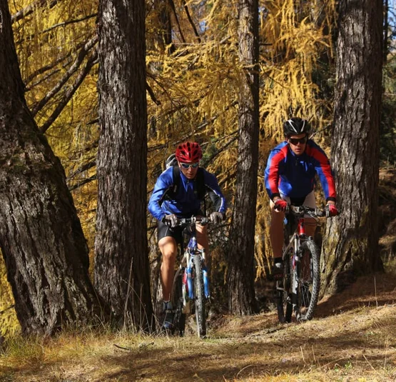 E-Bike Experience - 4 nights Twee fietsers rijden door een bos met gele herfstbladeren