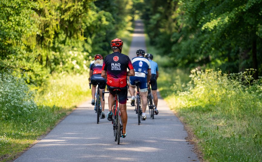 Gruppo di ciclisti che pedala su sentiero ombreggiato in foresta