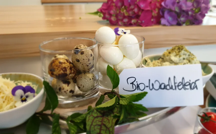 Organic quail eggs in glasses with fresh herbs on a table