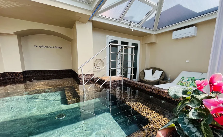 Indoor area with small pool, lounge chairs, and glass roof