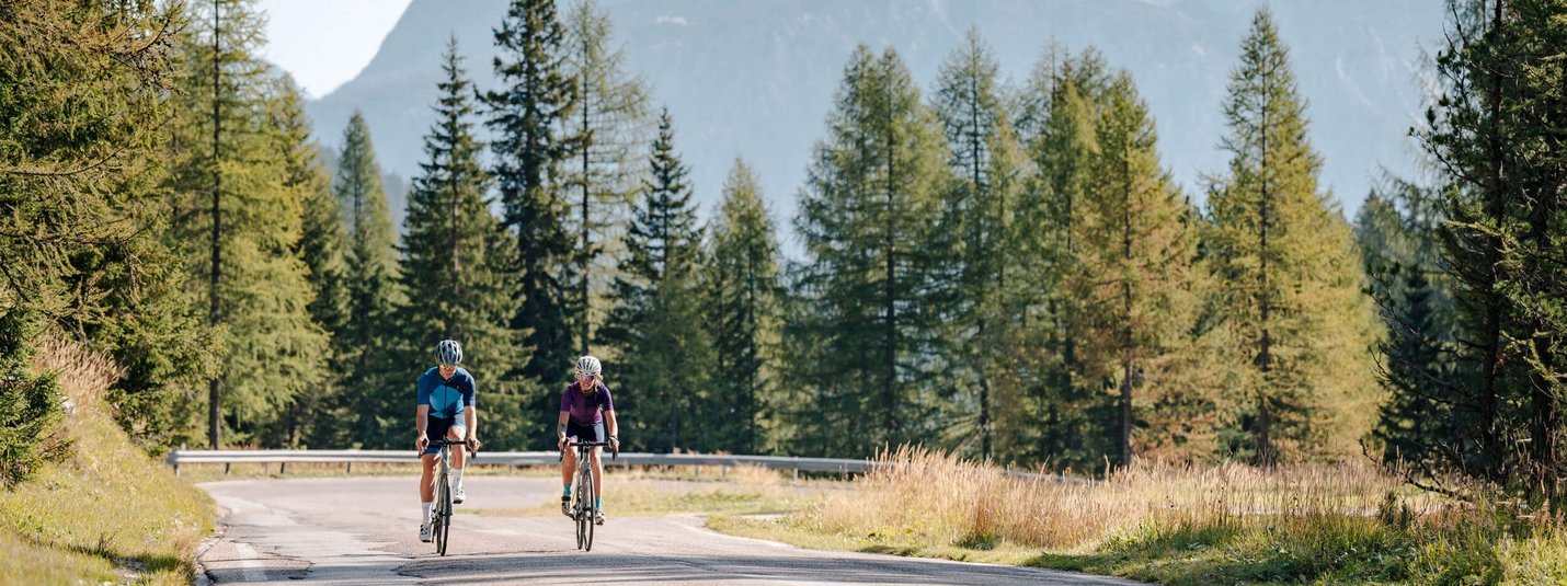 Two cyclists riding on a winding road through a sunny mountain forest