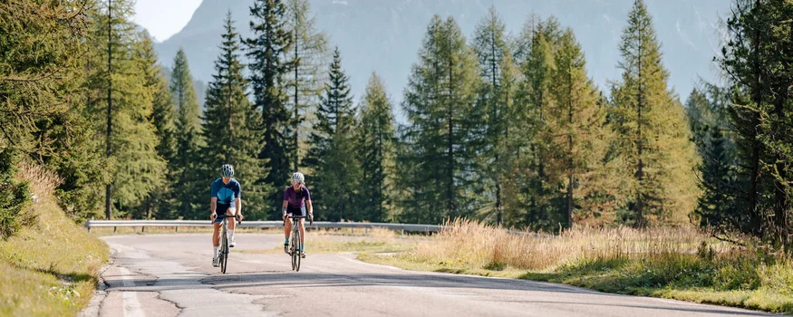 Two cyclists riding on a winding road through a sunny mountain forest