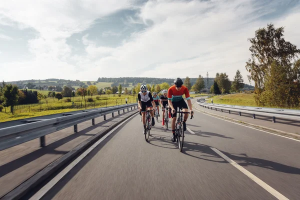 Deutschland © Felix Meyer Vier Radfahrer fahren auf einer Landstraße durch eine grüne Landschaft.