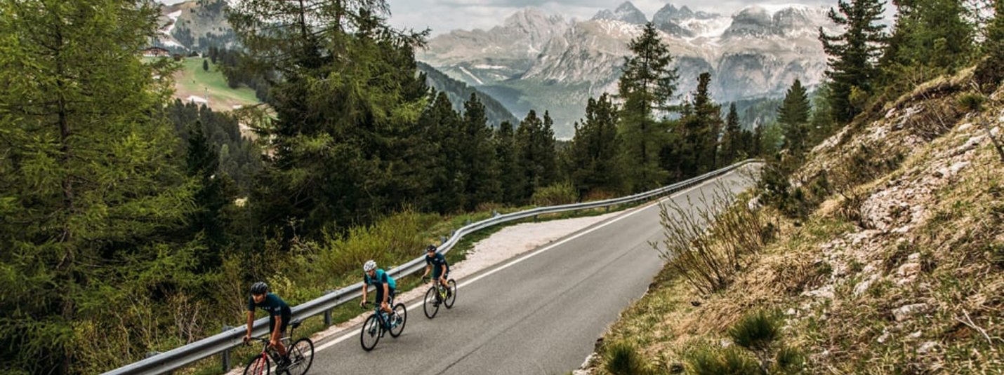 Three cyclists riding on mountain road with pine trees and mountains