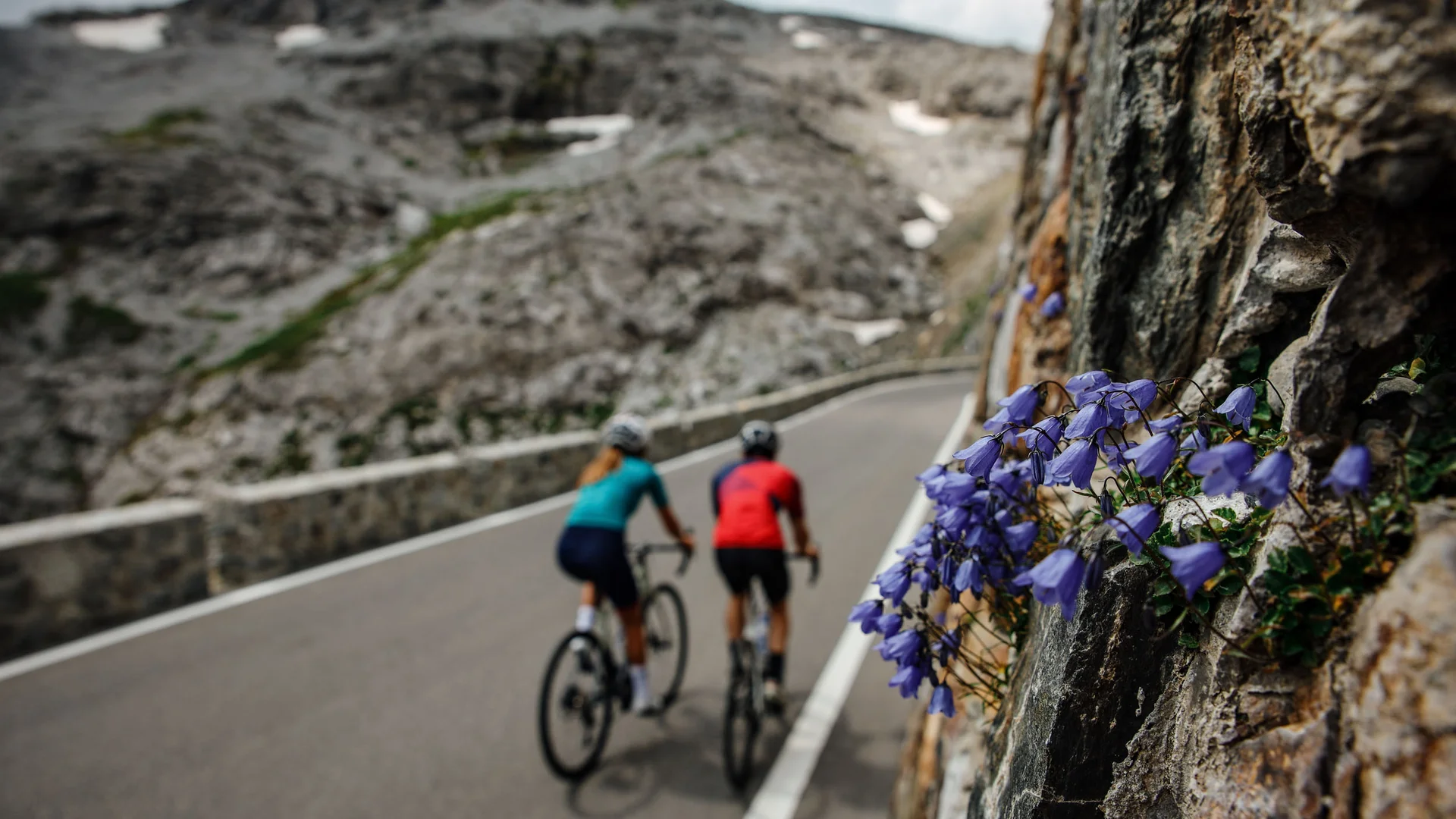 Zwei Radfahrer fahren bergauf auf einer kurvenreichen Straße mit Blumen an Felswand