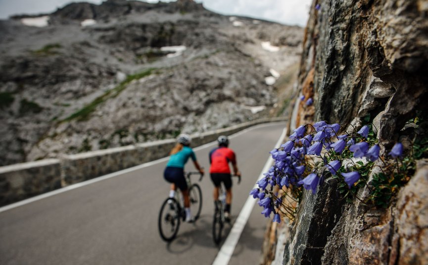 Two cyclists riding uphill on winding mountain road with flowers on rock wall