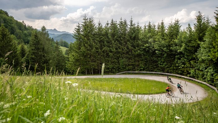 Three cyclists riding a hairpin curve on a forest road