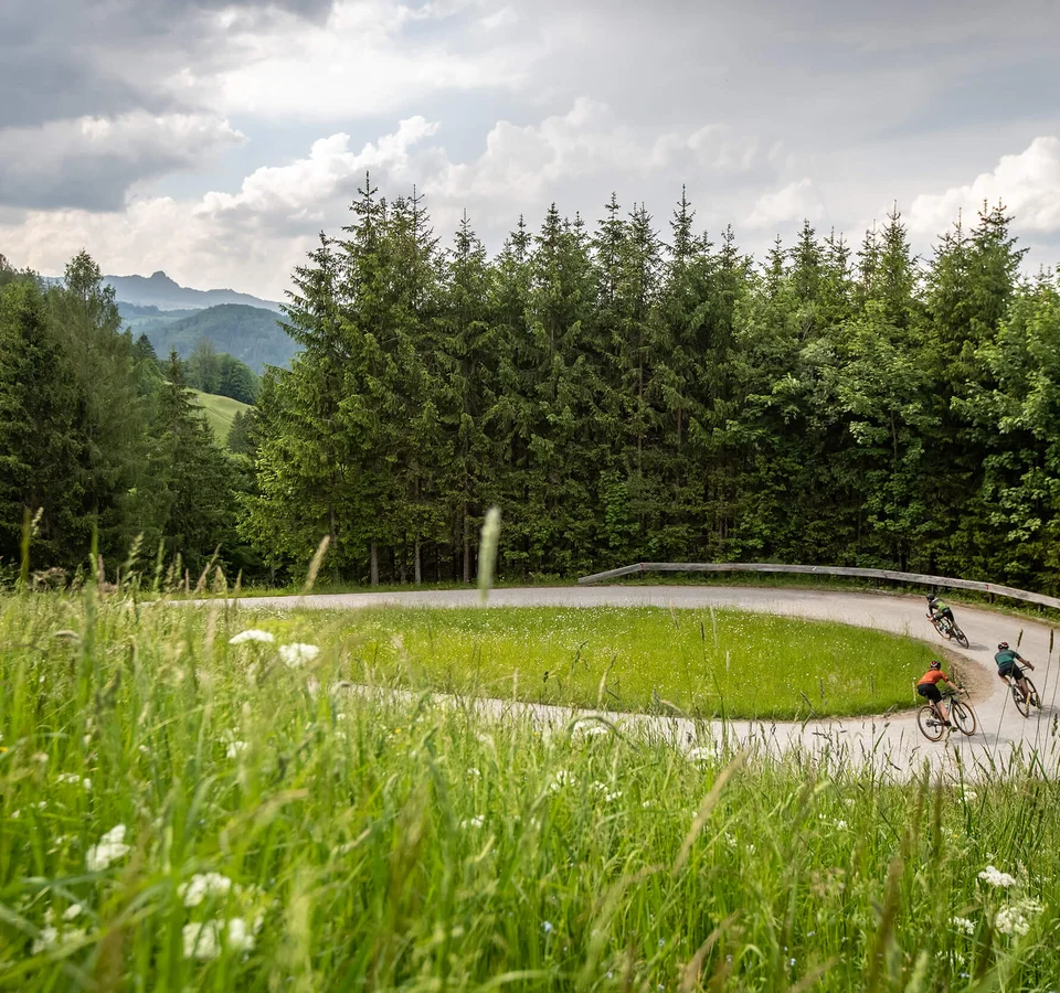 Roadbike-Bucketlist im Salzburger Land – Salzkammergut © Erwin Haiden Drei Radfahrer fahren eine Haarnadelkurve auf einer Waldstraße