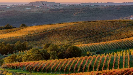 Breeze, Pulse oder Peak? 20 neue Traumrouten im Slowenischen Istrien © Jaka Ivancic Herbstliche Weinberge mit Dorf in der Ferne bei Sonnenuntergang
