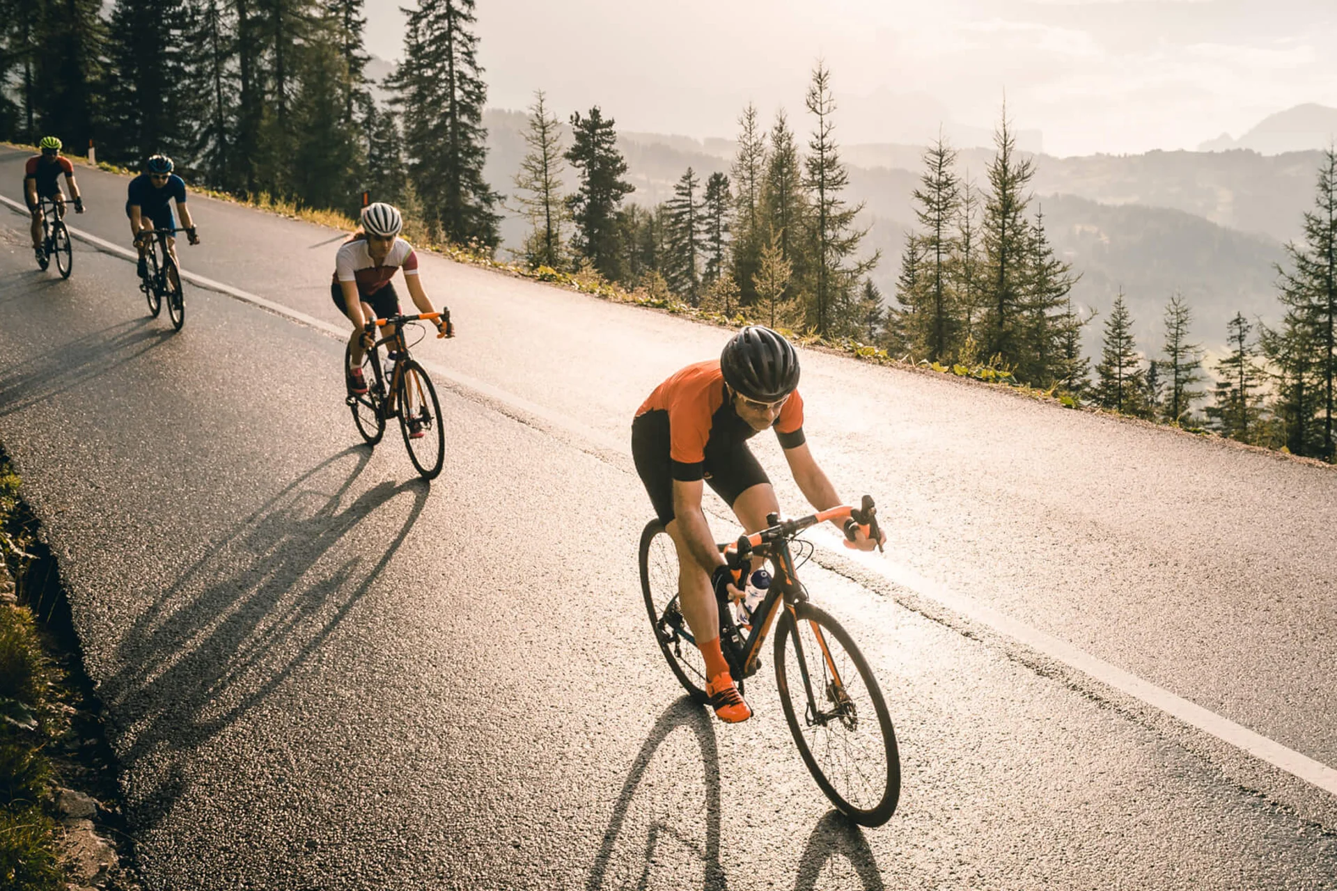 Roadbike Holidays © Molography Vier Radfahrer fahren bergauf auf einer Straße mit Bäumen und Bergen im Hintergrund