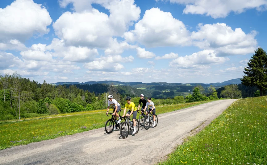 Posthorn Hotel-Ristorante Quattro ciclisti pedalano su una strada tra verdi colline