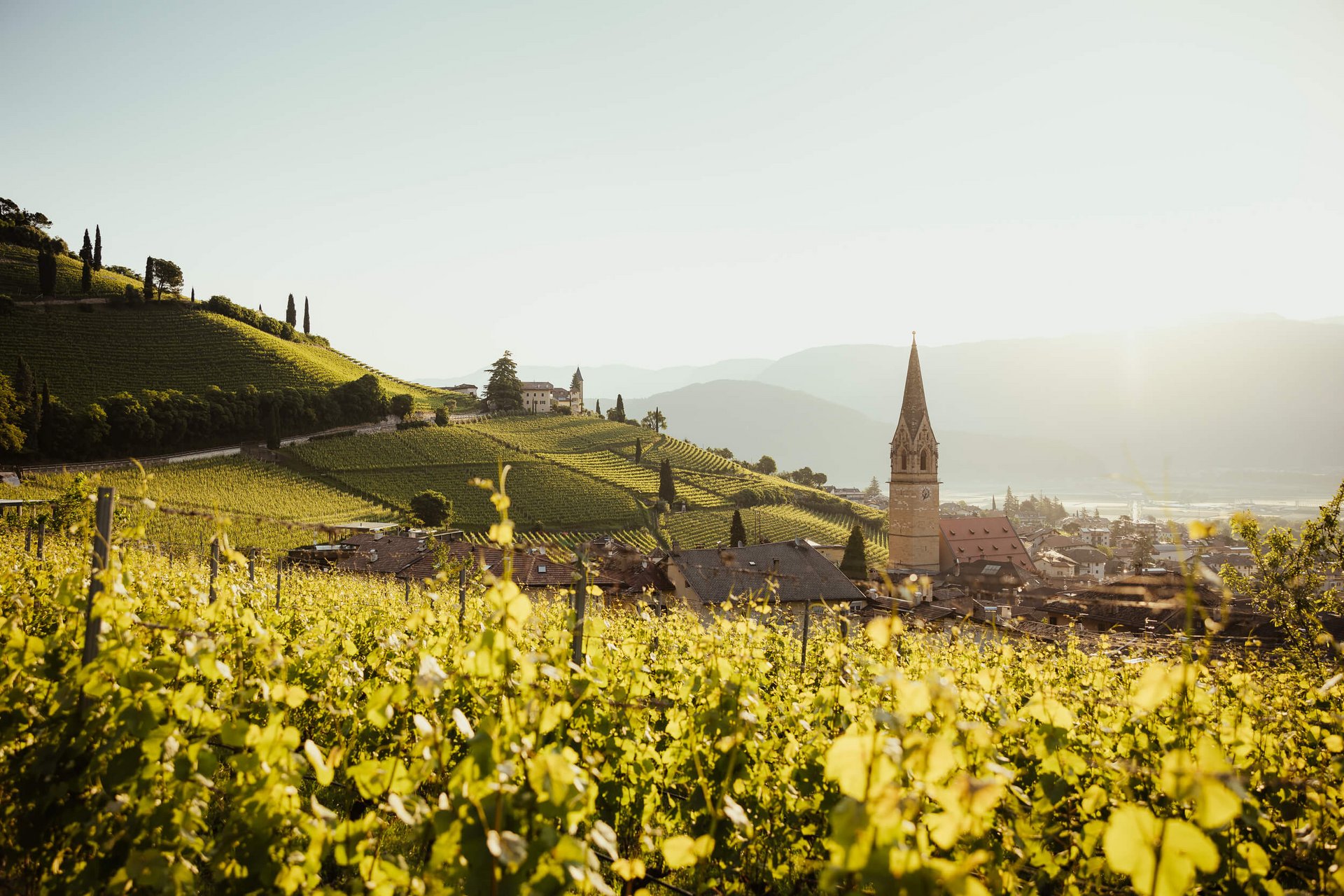 Vigneti con villaggio e chiesa davanti a paesaggio montano al sole
