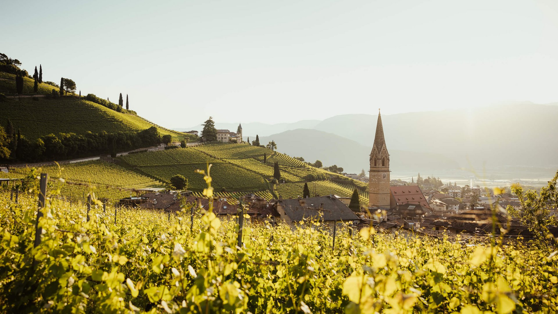 Weinberge mit Dorf und Kirche vor bergiger Landschaft im Sonnenlicht