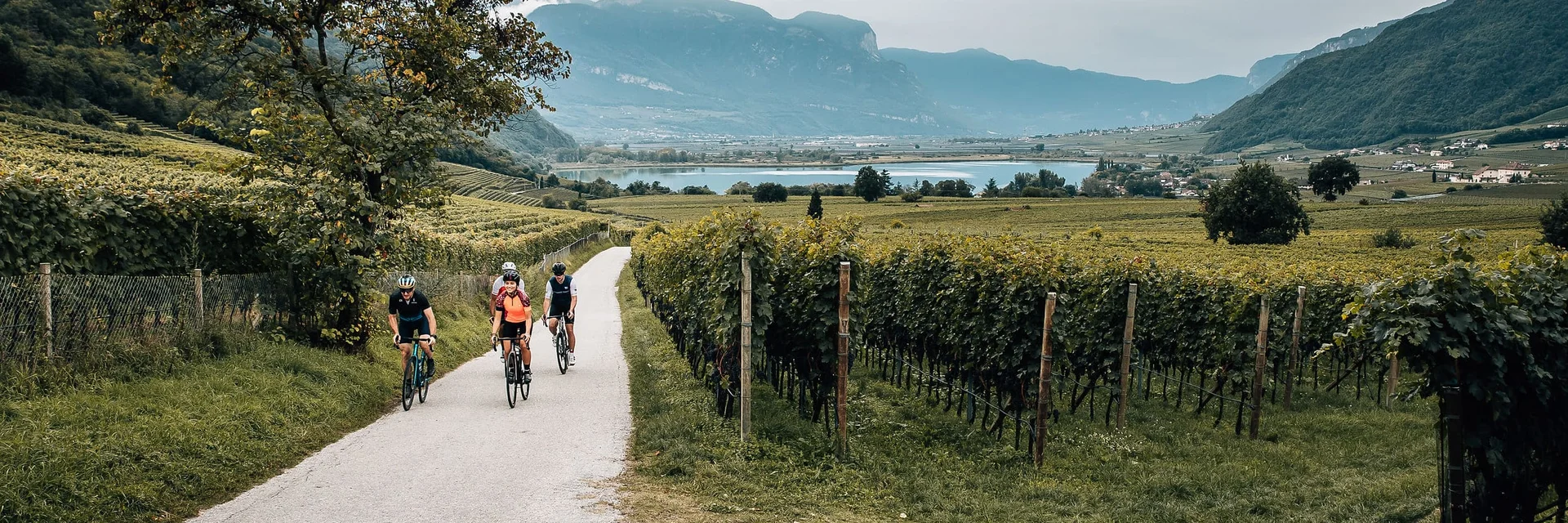 Tre ciclisti su sentiero tra vigneti in paesaggio collinare con montagne sullo sfondo