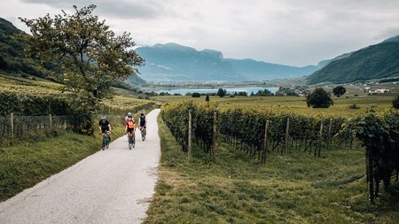 Drei Radfahrer auf Weg durch Weinberge in hügeliger Landschaft mit Bergen im Hintergrund