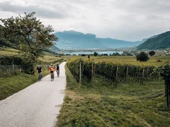Three cyclists on path through vineyards in hilly landscape with mountains in background