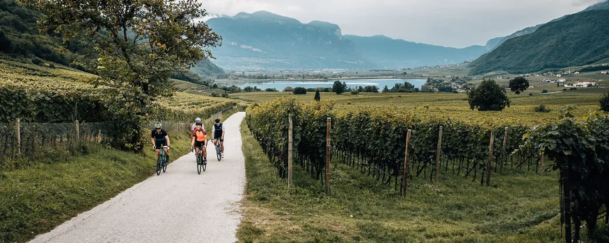 Herbst-Rennrad-Wochenende in Tramin © Jens Scheibe Drei Radfahrer auf Weg durch Weinberge in hügeliger Landschaft mit Bergen im Hintergrund