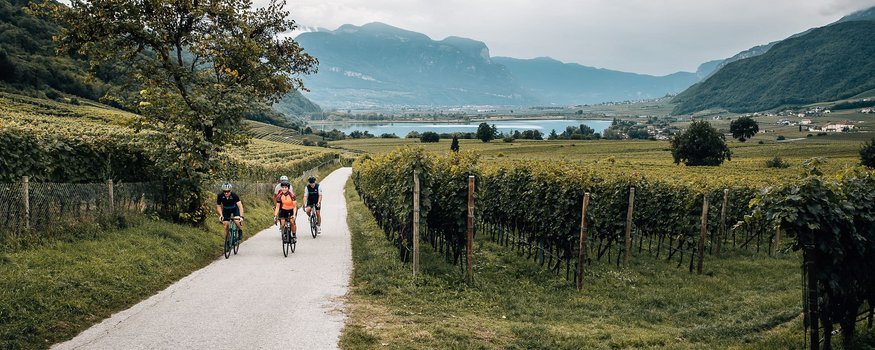 Tre ciclisti su sentiero tra vigneti in paesaggio collinare con montagne sullo sfondo