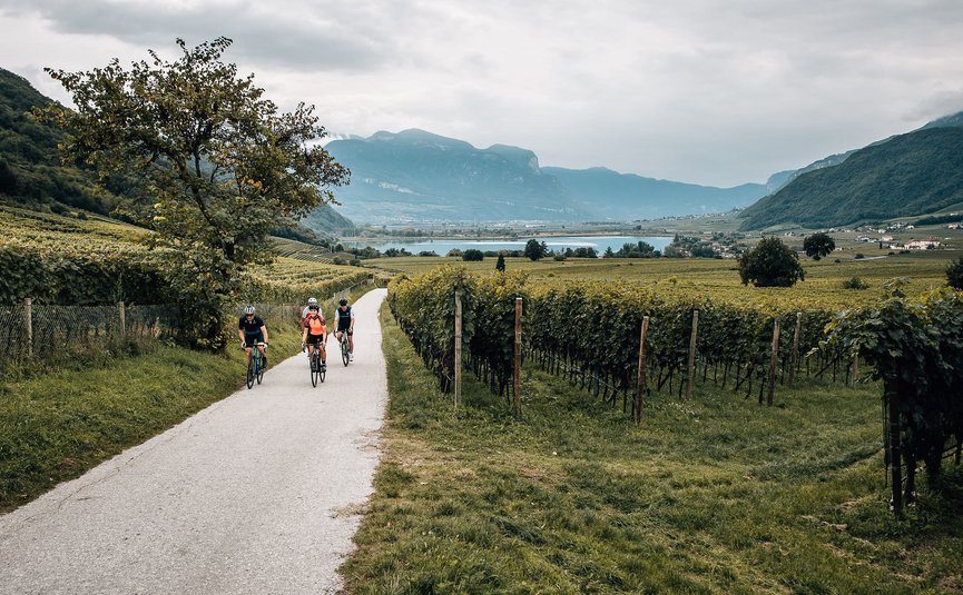 Drie fietsers op weg door wijngaarden in heuvelachtig landschap met bergen op de achtergrond