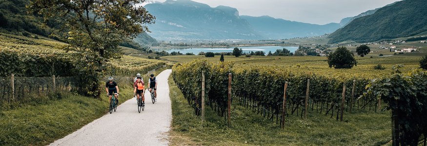 Tre ciclisti su sentiero tra vigneti in paesaggio collinare con montagne sullo sfondo