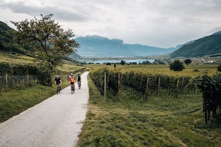 Three cyclists on path through vineyards in hilly landscape with mountains in background