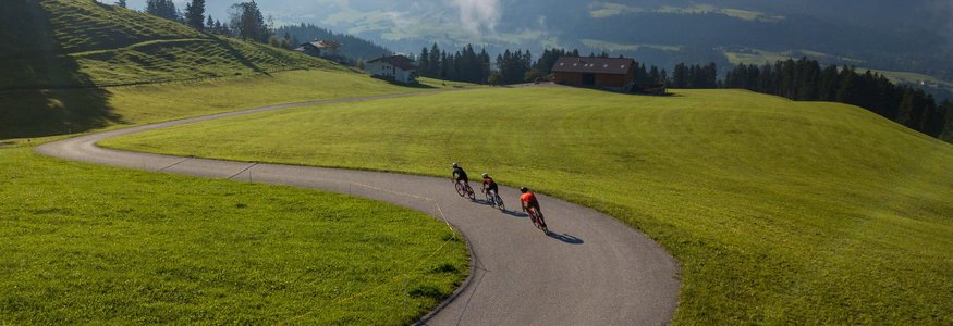 Drei Radfahrer fahren auf kurviger Straße durch grüne Alpenlandschaft