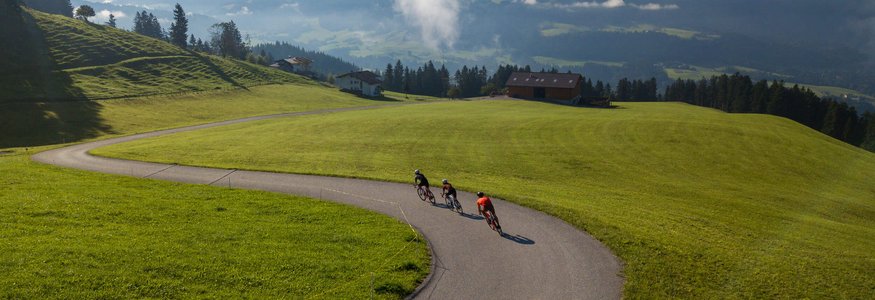 Drei Radfahrer fahren auf kurviger Straße durch grüne Alpenlandschaft
