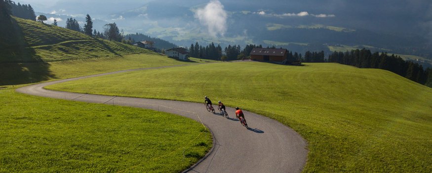 Drei Radfahrer fahren auf kurviger Straße durch grüne Alpenlandschaft