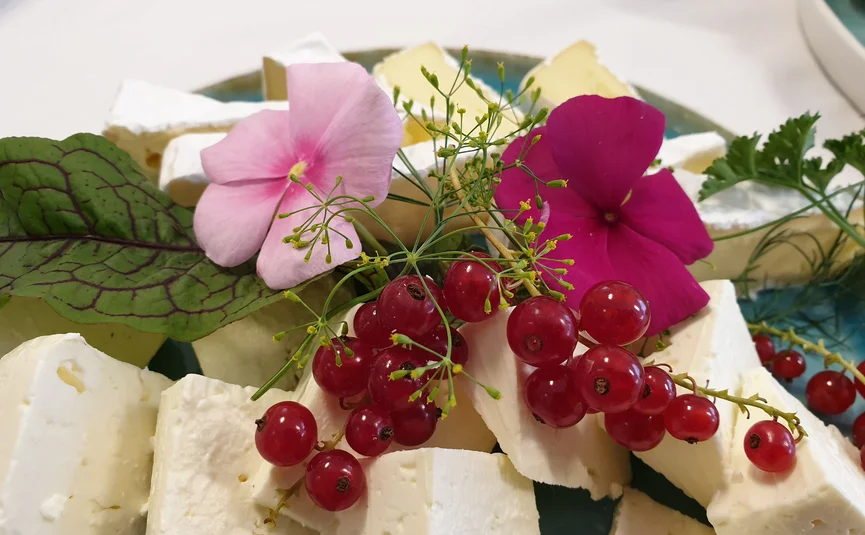 Cheese cubes with red berries and flowers on a plate