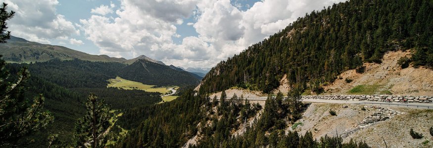 Bergweg met dennenbos en bewolkte lucht