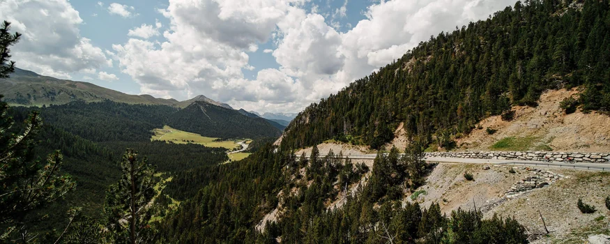 Mountain road with pine forest and cloudy sky