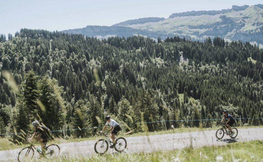 Three cyclists on a mountain trail with forest and mountains in the background