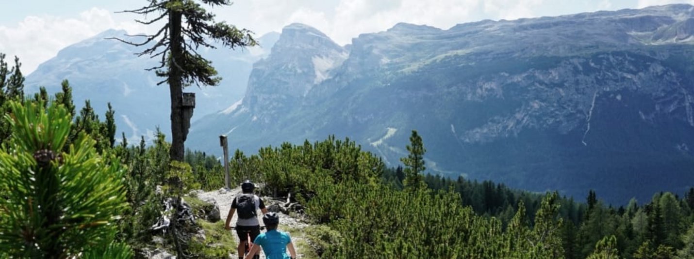 Due ciclisti su un sentiero di montagna tra pini e montagne