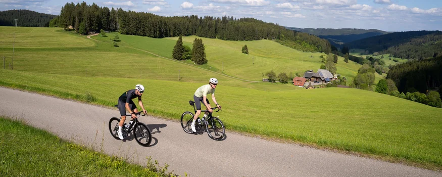 Zwei Radfahrer fahren auf Landstraße durch grüne Wiesen und Wälder